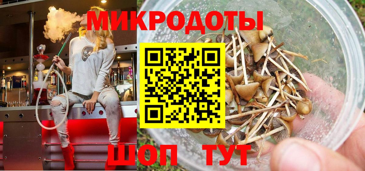 Галлюциногенные грибы ЛСД Славянск-на-Кубани