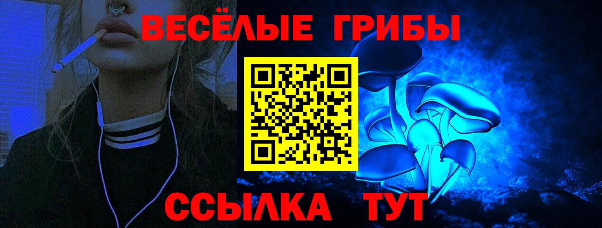 Псилоцибиновые грибы прущие грибы  Галлюциногенные грибы мицелий  Славянск-на-Кубани  Вход с VPN 